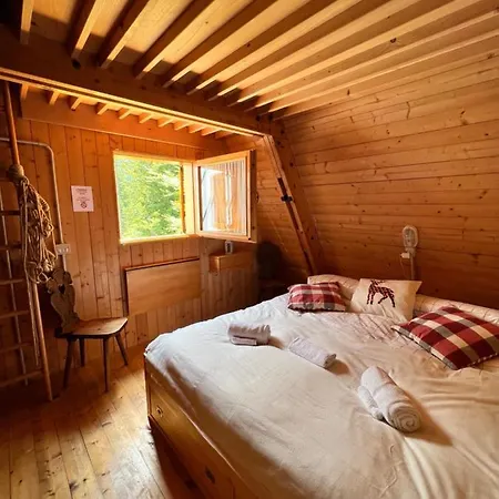 Chalet ~chalet_rifugio Tra I Boschi~